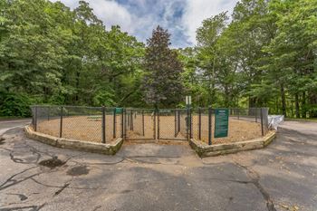 Dog park