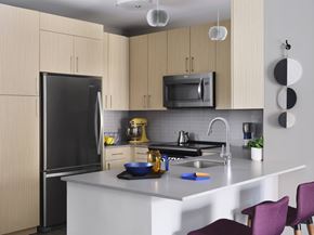 Worcester apartment for rent - A kitchen with a black refrigerator, a silver microwave, and a white countertop.