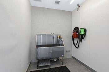 Pet spa