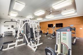 Shrewsbury apartment for rent - Fitness Center With Updated Equipment at Ashford Crossing, Shrewsbury, MA