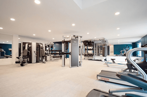 Westport apartment for rent - A spacious gym with a variety of equipment.