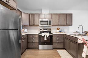 Brunswick apartment for rent - A kitchen with a refrigerator on the left and a stove top oven in the middle.