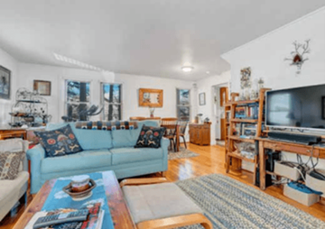 Brunswick apartment for rent - a living room with a blue couch and a tv