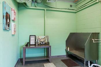 Convenient pawsome pet wash station