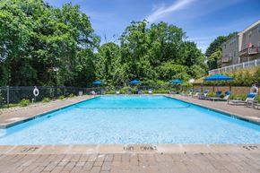 Danbury apartment for rent - A large swimming pool surrounded by trees and umbrellas.