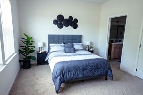 Holly apartment for rent - A bedroom with a large bed and a plant.