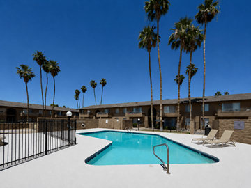 Tempe apartment for rent - A swimming pool surrounded by palm trees and chairs.