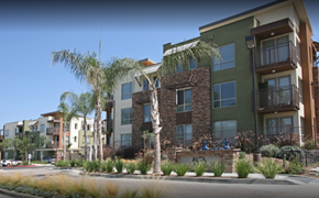 San Marcos apartment for rent - an image of an apartment building with palm trees in front of it