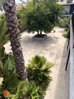 San Diego apartment for rent - A tree in a pot is in the middle of a courtyard.