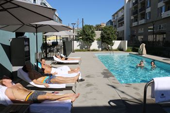 Large swimming pool and spa