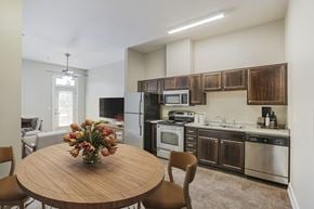New Orleans apartment for rent - Modern kitchen inside an Aloysius Apartments unit