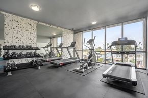 Los Angeles apartment for rent - A well-equipped gym with a treadmill, weights, and exercise machines at Lafayette Apartments, California