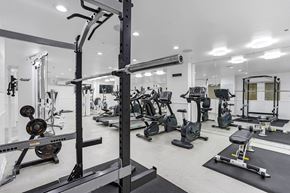 Los Angeles apartment for rent - A well-equipped gym with various exercise machines and weights.at Park Wilshire, Los Angeles, 90057