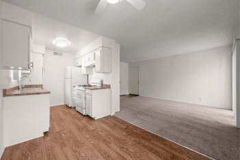 Vinyl plank flooring (select units)