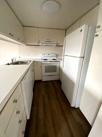 Electric or gas range (check for range specifics)