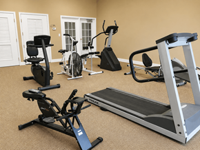 Findlay apartment for rent - A home gym with a treadmill, stationary bike, and rowing machine.