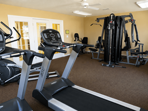Springfield apartment for rent - A home gym with treadmills, elliptical machines, and other exercise equipment.