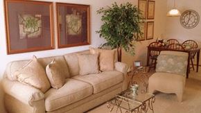 Groveport apartment for rent - A living room with a couch, chair, and potted plant.