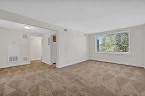 Washington apartment for rent - A room with a carpeted floor and a window showing trees outside.