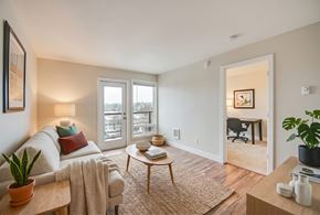 Seattle apartment for rent - A living room with a couch, a table, and a plant.