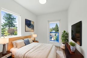 Seattle apartment for rent - A bedroom with a large bed, a television, and a window with a view of a tree.