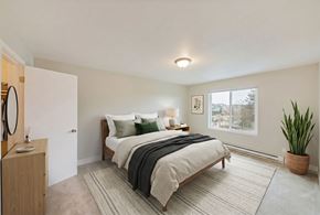 Seattle apartment for rent - A bedroom with a large bed and a potted plant.