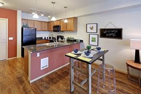 Mountlake Terrace apartment for rent - kitchen
