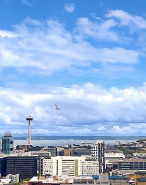 Seattle apartment for rent - Rooftop view of the skyline at Alt Capitol Hill.