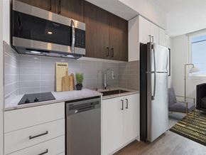 Seattle apartment for rent - a kitchen with a sink and a refrigerator