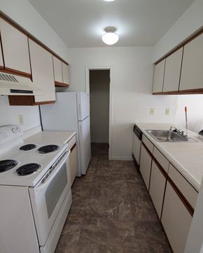 Lapeer apartment for rent - an empty kitchen with white appliances and white cabinets and a sink
