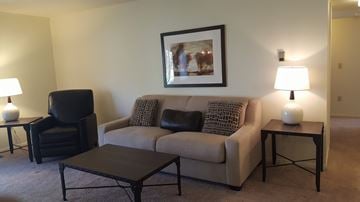 Midland apartment for rent - a living room with a couch and a chair