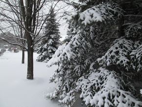 Caro apartment for rent - Winter Wonderland