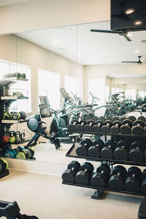 Mcdonough apartment for rent - a gym with weights and racks of dumbbells at Woodlands Creekside Apartments, Georgia, 30253