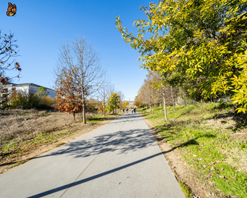 Atlanta apartment for rent - A tree-lined path with people walking on it.