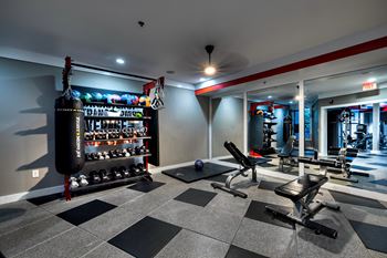 Free weights