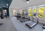 Charlotte apartment for rent - a gym with cardio equipment and windows in a building