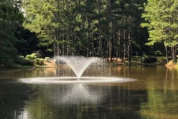 Lake with lush natural surrounding
