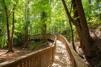 Beautiful walking paths