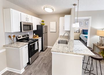 Dunwoody apartment for rent - A kitchen with a granite countertop and stainless steel appliances.