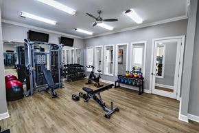Duluth apartment for rent - A well-equipped home gym with a variety of exercise equipment.