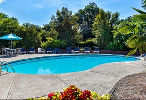 Charlotte apartment for rent - pool with landscaping
