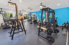 Charlotte apartment for rent - A gym with a blue wall and a variety of exercise equipment.