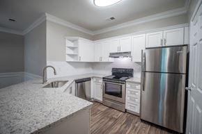 Decatur apartment for rent - Renovated Kitchen