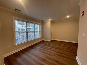 Brookfield apartment for rent - Studio