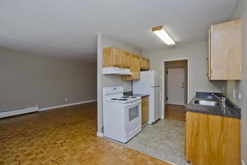 Springfield apartment for rent - a kitchen with a stove and a refrigerator and a sink
