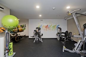 Springfield apartment for rent - a gym with exercise equipment and a mural on the wall at Park Edge, Springfield, 13502