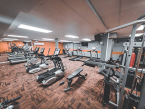 Rocky Hill apartment for rent - a gym with cardio machines and weights on a wooden floor at Stepny Place, Rocky Hill, CT, 06067