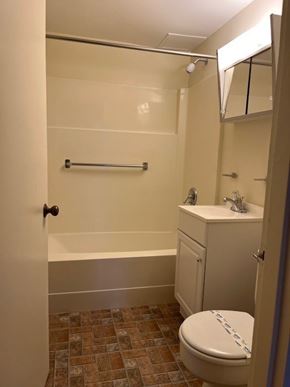 New Haven apartment for rent - A white toilet with a blue stripe is in a bathroom with a walk-in shower.