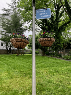 New Haven apartment for rent - Courtyard