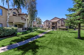 Pittsburg apartment for rent - A row of houses with green lawns in front.